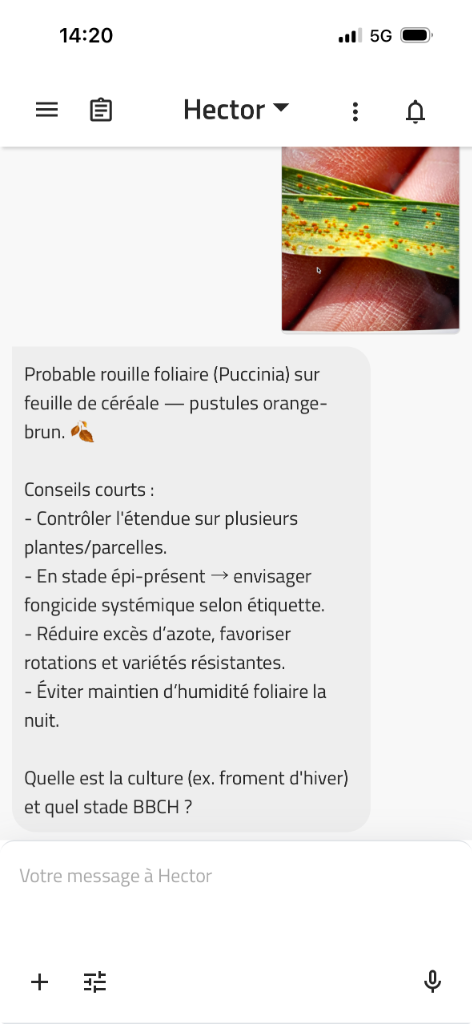 Interface Mobile Hector